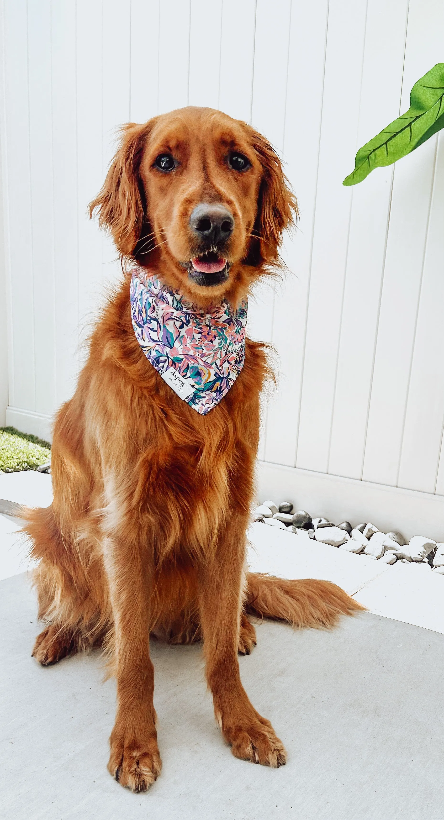 Fleur Dog Bandana